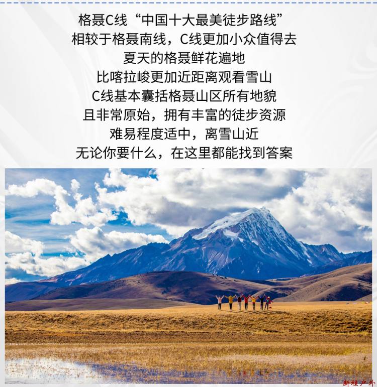 稿定设计-4