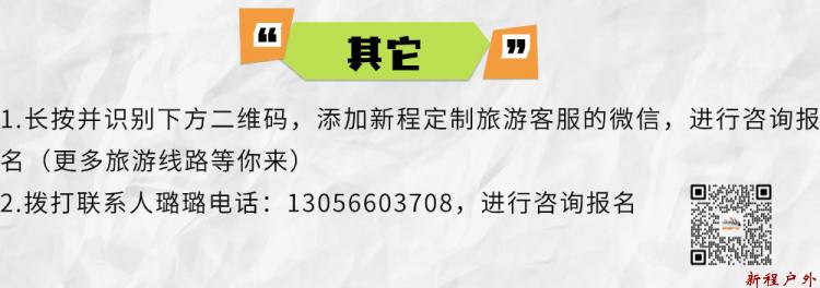 稿定设计-12