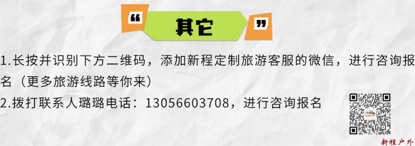 稿定设计-12