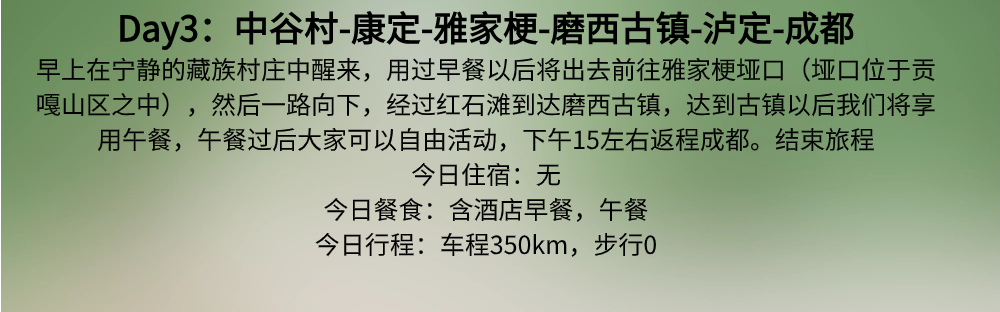 稿定设计-11