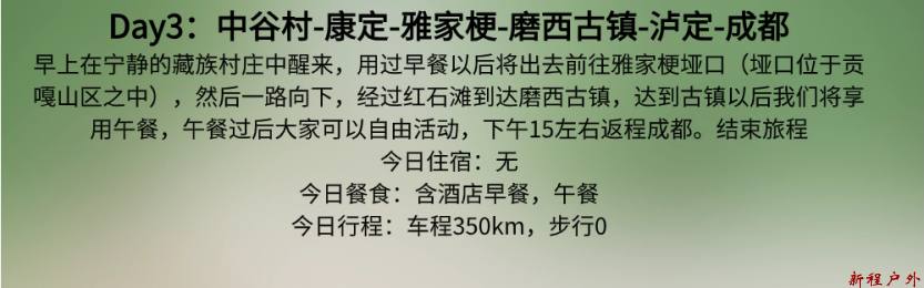 稿定设计-11