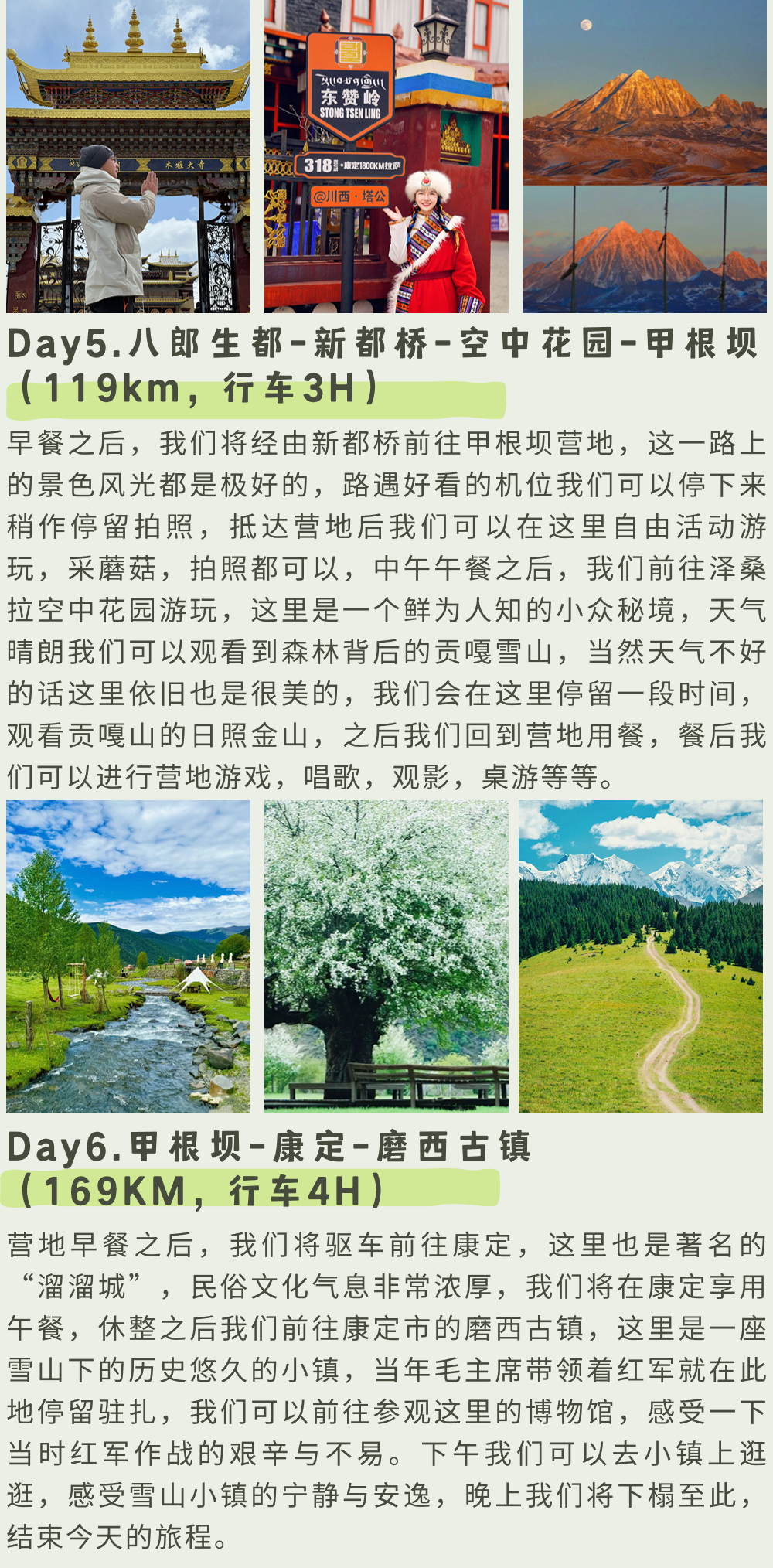 稿定设计-16