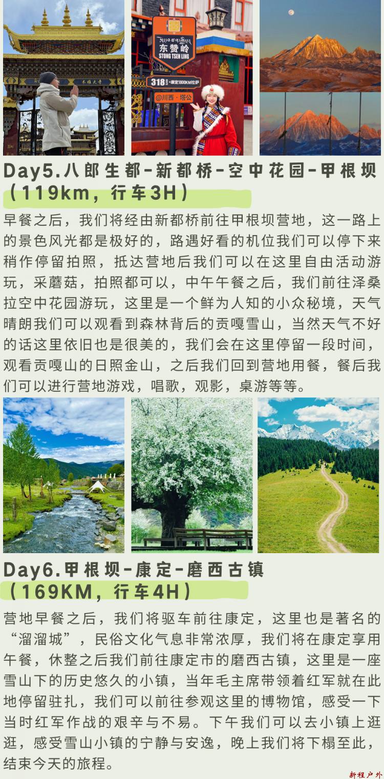 稿定设计-16